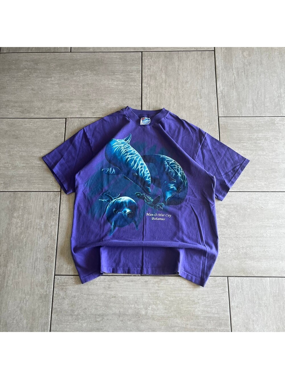 Vintage Hanes Purple Manatee Graphic T-Shirt Large Casual Streetwear